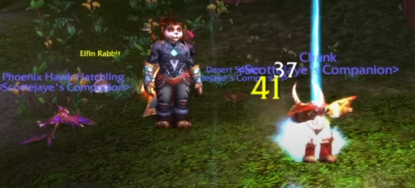 Pet Battle system